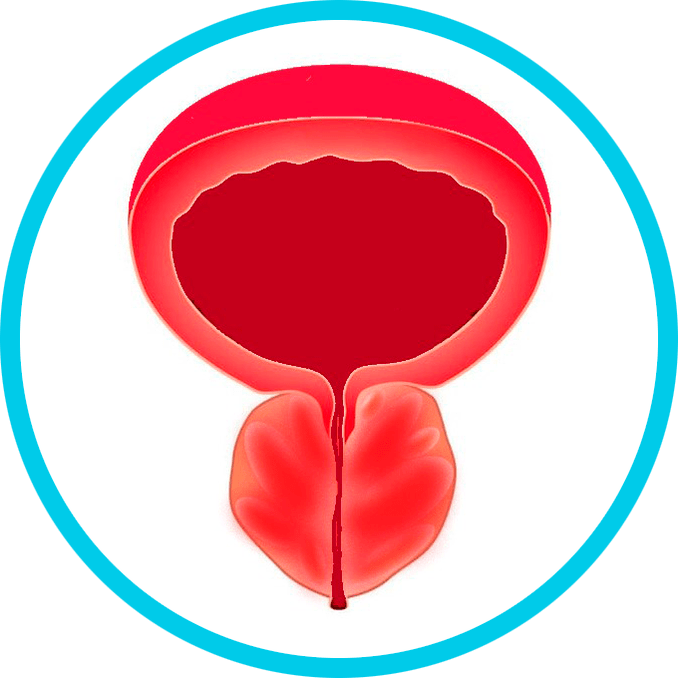 Prostatit belirtileri